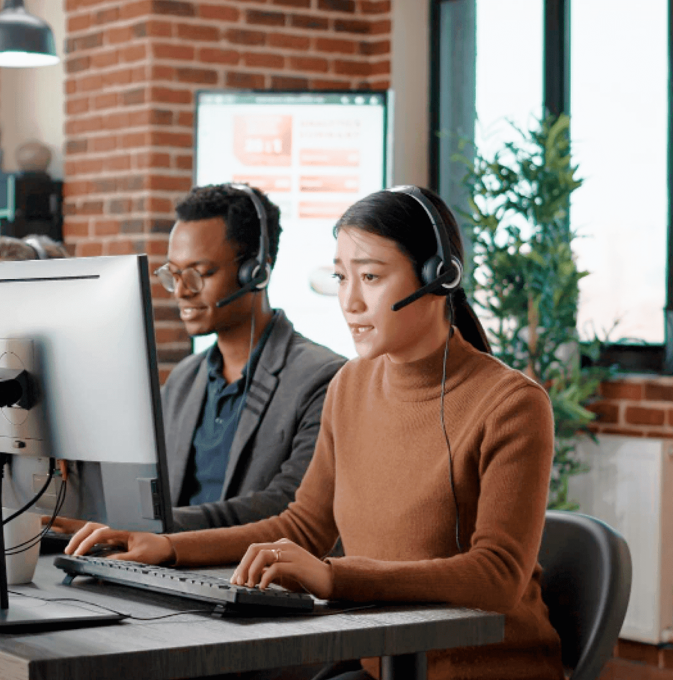 EcoGreen Landscaping